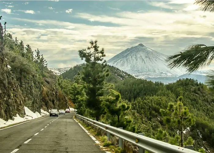 La Bouganvilla Hébergement de vacances *